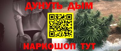 гидра Можга