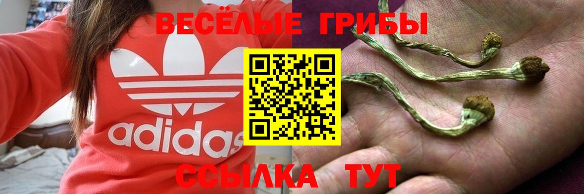 Галлюциногенные грибы мухоморы  Псилоцибиновые грибы GOLDEN TEACHER  Энгельс  Вход с VPN 