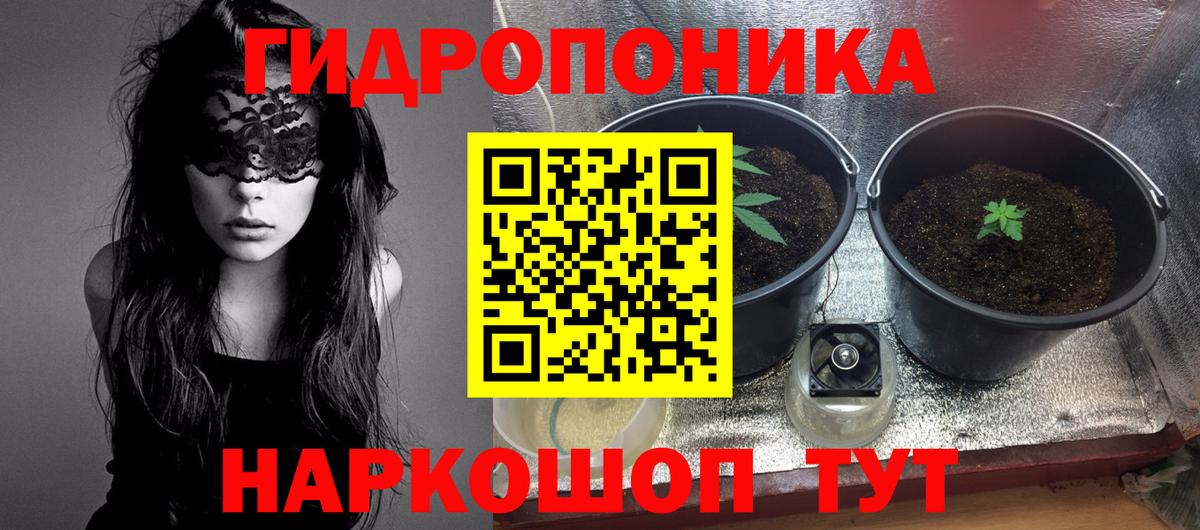 Канабис SATIVA & INDICA  Марихуана OG Kush  Бошки марихуана AK-47  Вход с VPN  Марихуана марихуана  Энгельс 